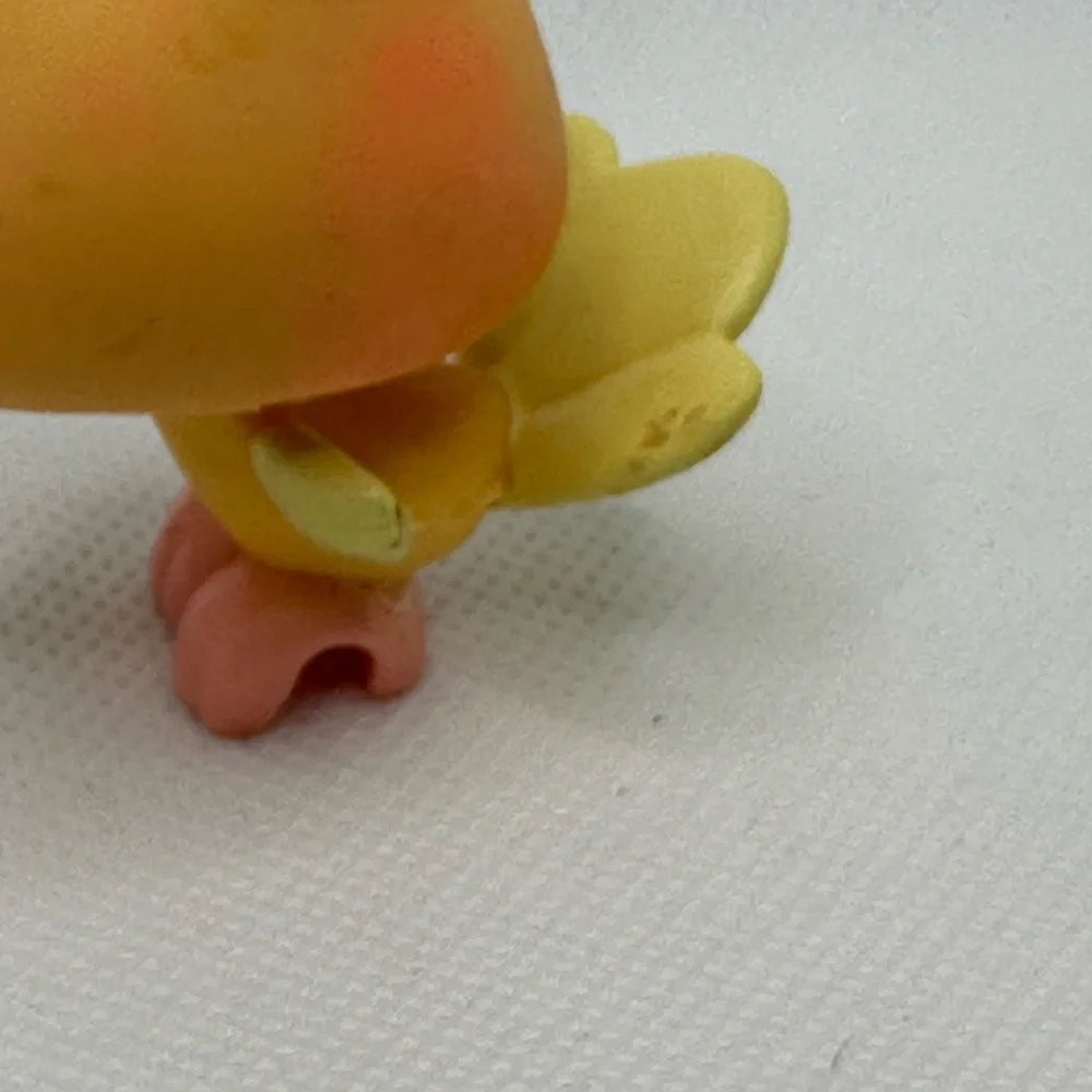 Orange and Yellow Pastel Peacock‎ Bird Littlest Pet Shop.  Guaranteed authentic